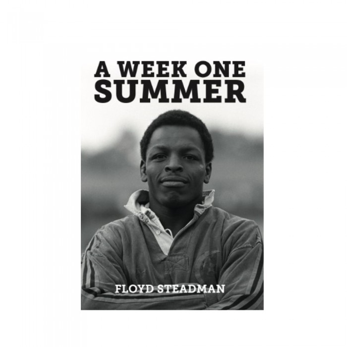 A Week One Summer - Floyd Steadman